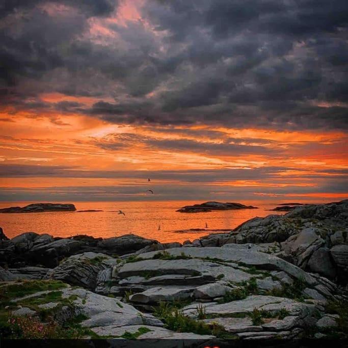 Close To Sea, Central, Rent A Boat, Mountain Hike, Wifi, Free Parking Haug Exteriér fotografie